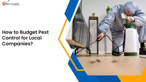 How to Budget Pest Control for Local Companies