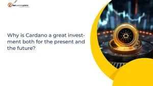 Why is Cardano a great investment both for the present and the future?