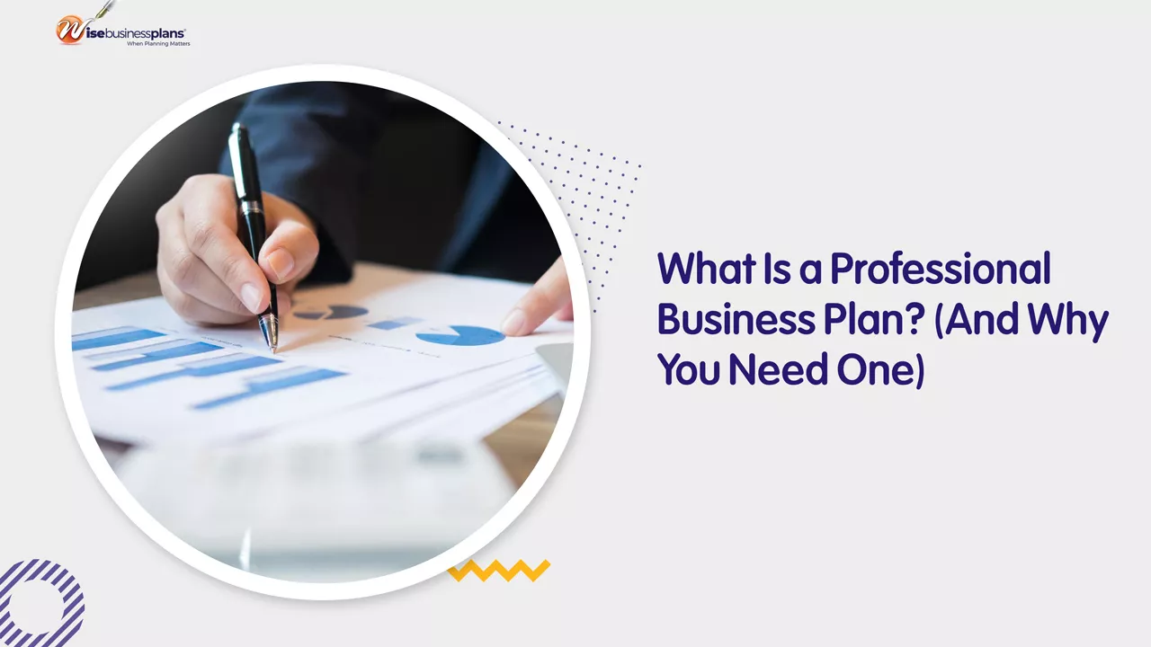 What Is a Professional Business Plan? (And Why You Need One)