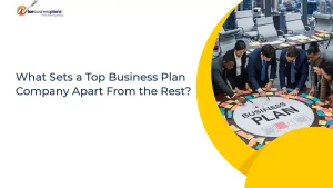 What Sets a Top Business Plan Company Apart From the Rest?