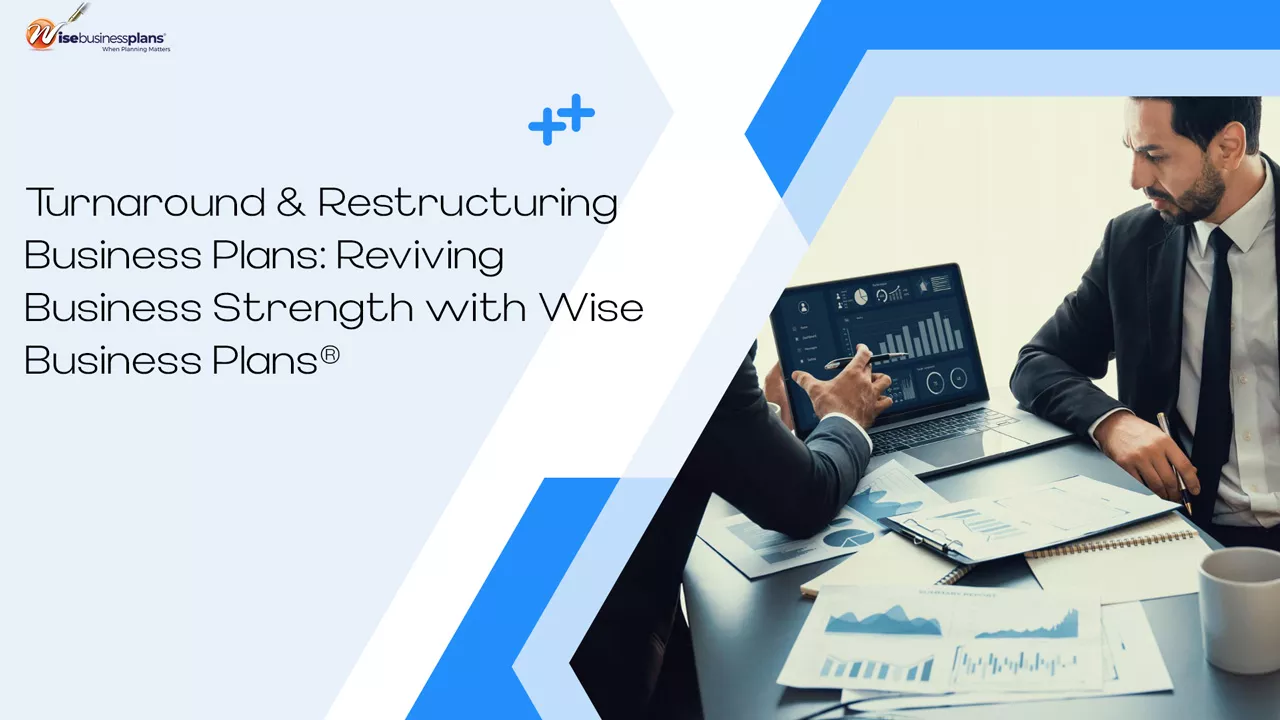 Turnaround & Restructuring Business Plans: Reviving Business Strength with Wise Business Plans®