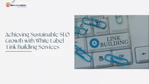white label link building services process