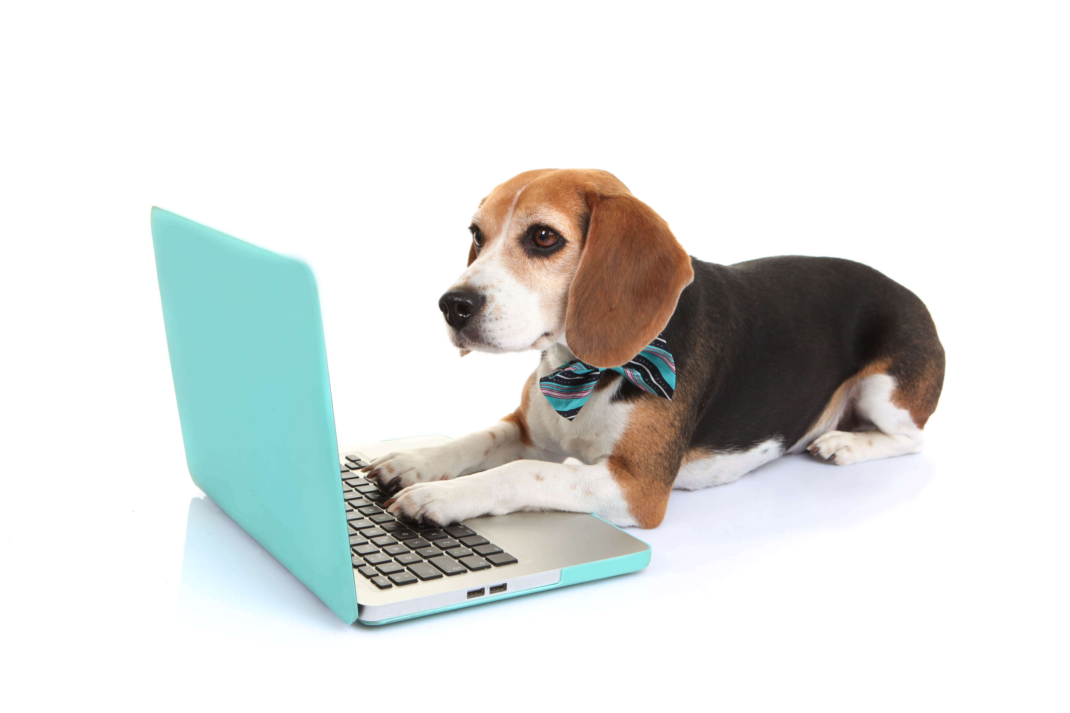 Can You Teach an Old Dog New Tricks After All? Can You Teach an Old Dog New Tricks After All?