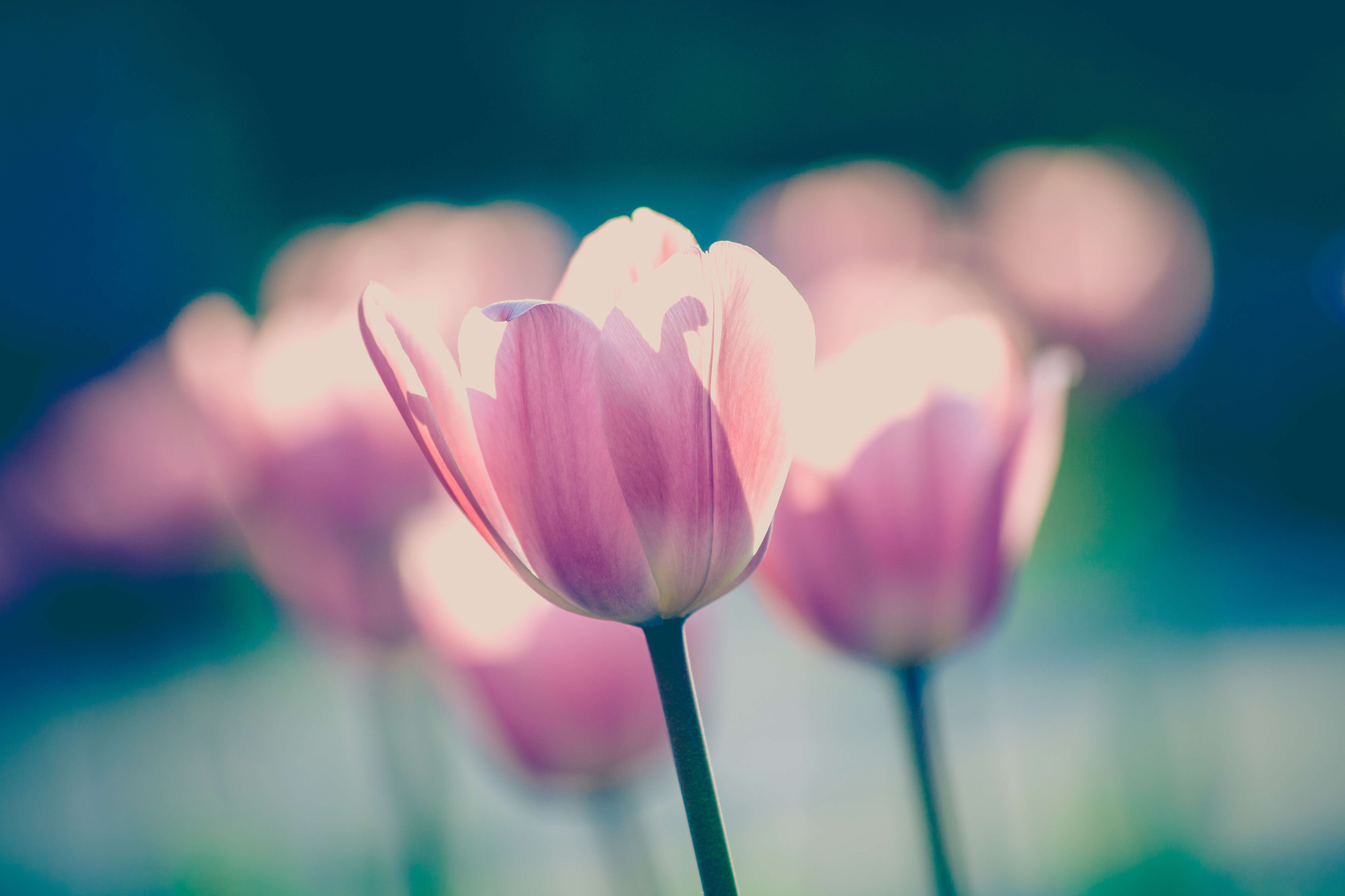5 tips to help your business bloom this spring 5 tips to help your business bloom this spring